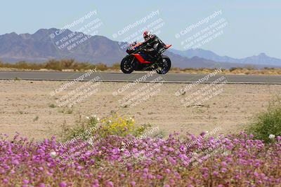 media/Mar-12-2023-SoCal Trackdays (Sun) [[d4c8249724]]/Turn 15 Inside Bloom (130pm)/